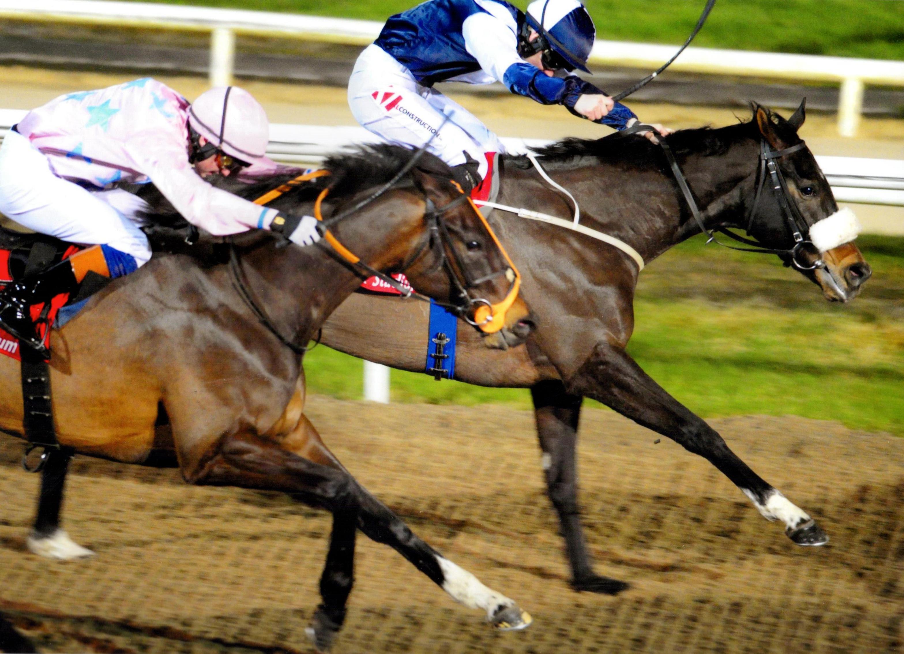 THE PARIS SHRUG brings up at double at Dundalk 23rd December 2016